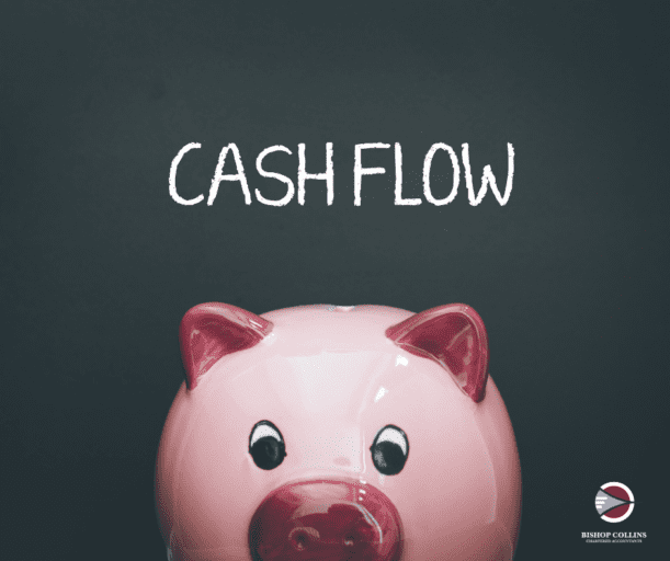 cashflow pig money box